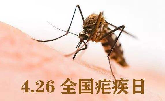 李强在辽宁大连调研时强调 大力发展高