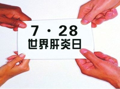贯彻落实党的二十届四中全会部署