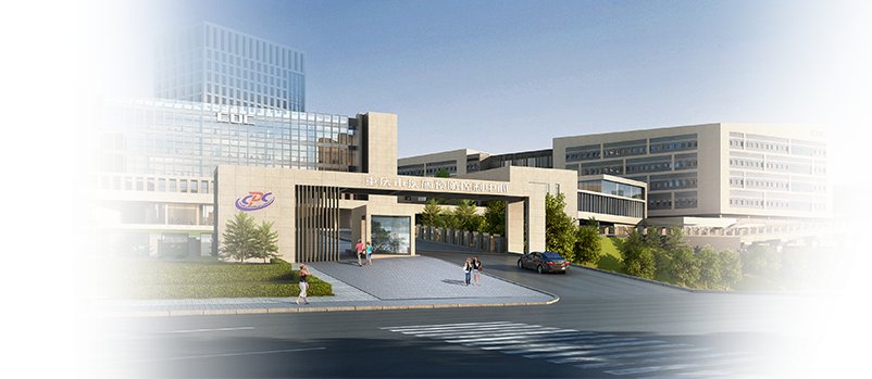 为切实提升我市土源性线虫病pa体育官